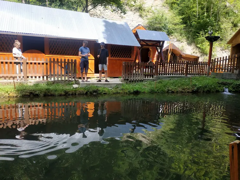 Еко-Форель у Яворові