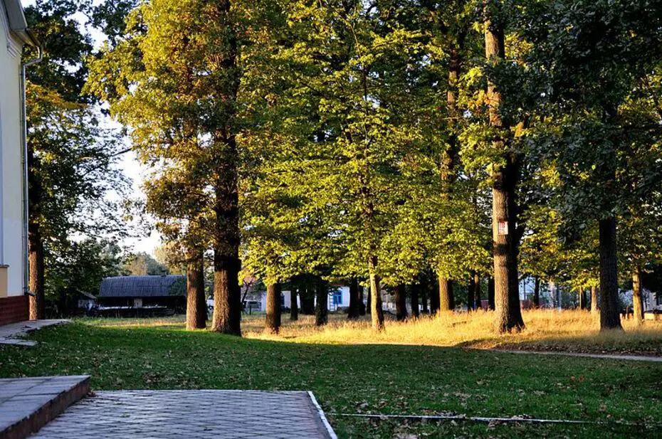 парк клевань