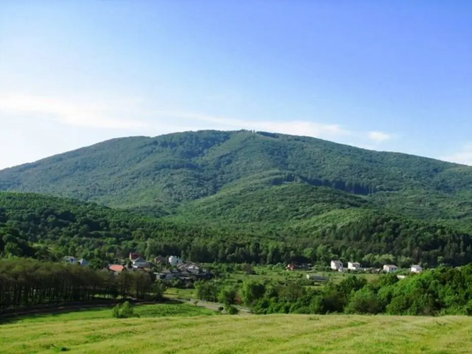 Закарпатська Чорна