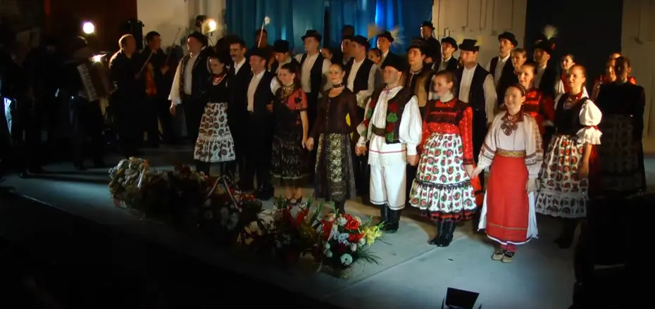 Угорський національний театр, Берегове