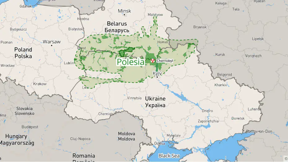 Чортове болото