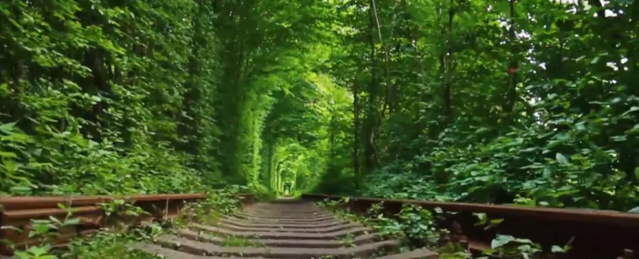 Тунель кохання, Клевань