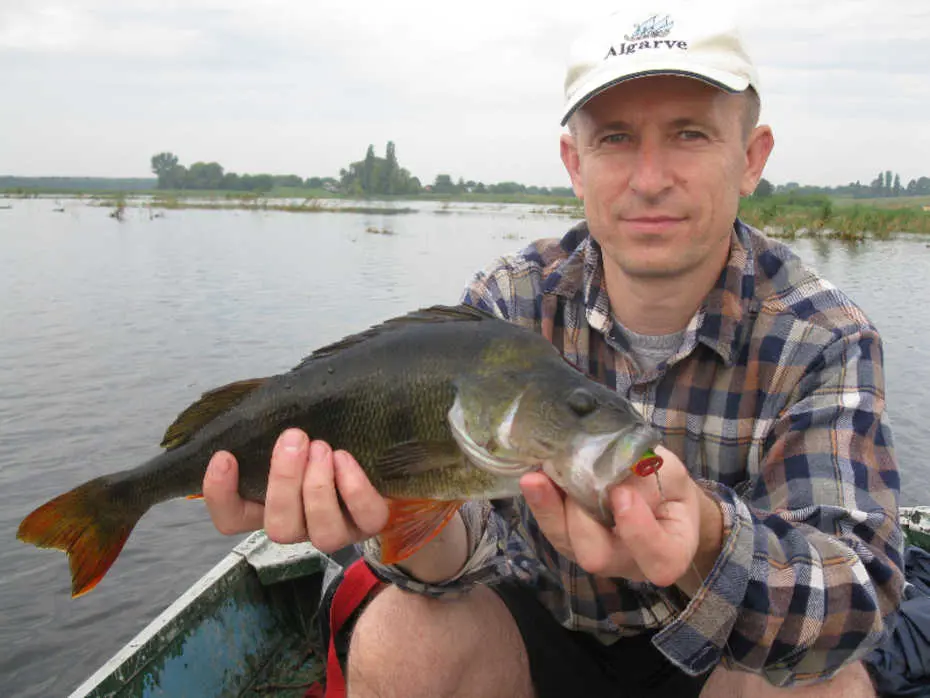 Хрінницьке водосховище, Волинська та Рівненська області