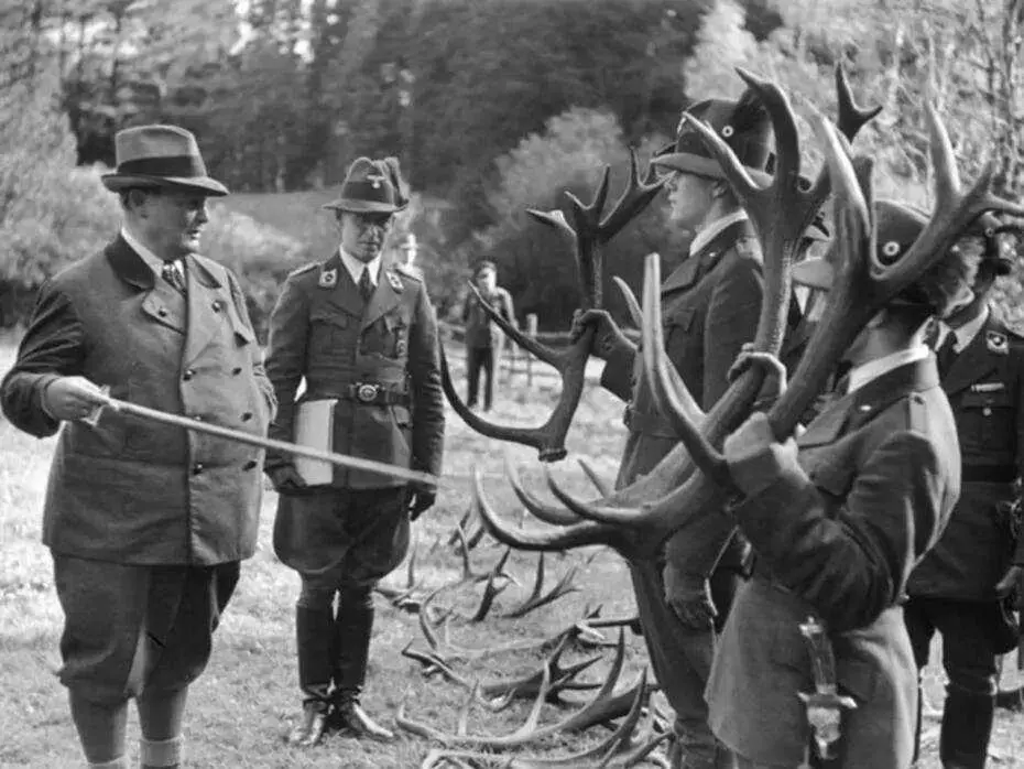 Палац Шенборнів: унікльнf люстра «Мелюзина» з торсом дівчини та мисливськими рогами